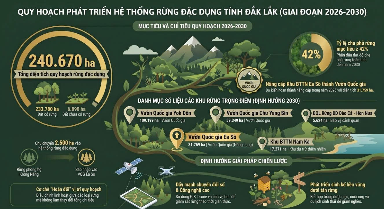 Quy hoạch Lâm nghiệp tỉnh Đắk Lắk giai đoạn 2026-2030, tầm nhìn đến năm 2050: Từ "Đại ngàn" ra "Biển lớn"