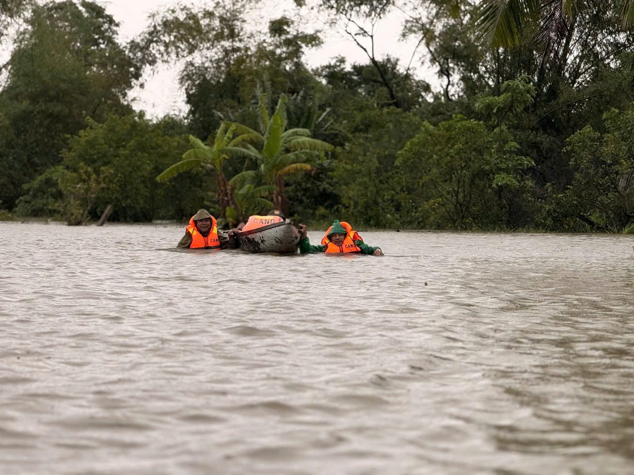 12538249216042043382