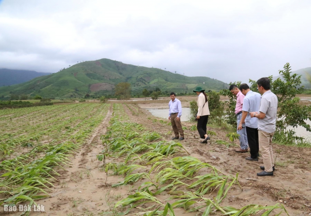 img_6168-1_20251124210312