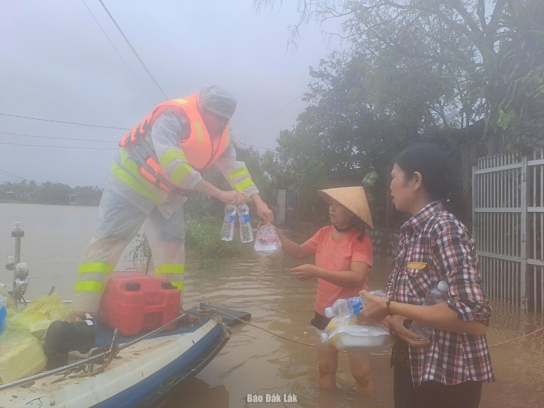 thong11_20251123083258