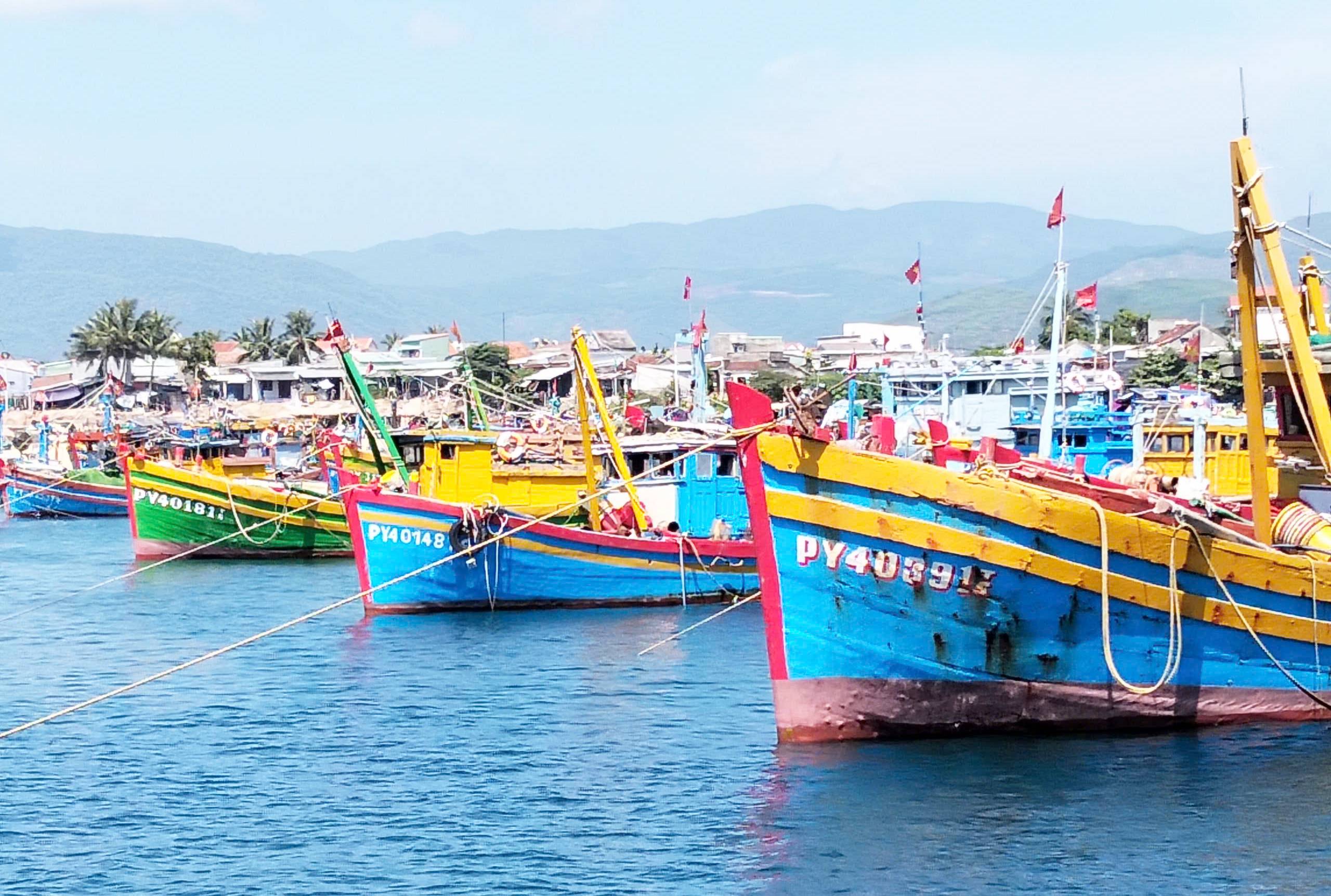 ae85f70ea6f529ab70e4