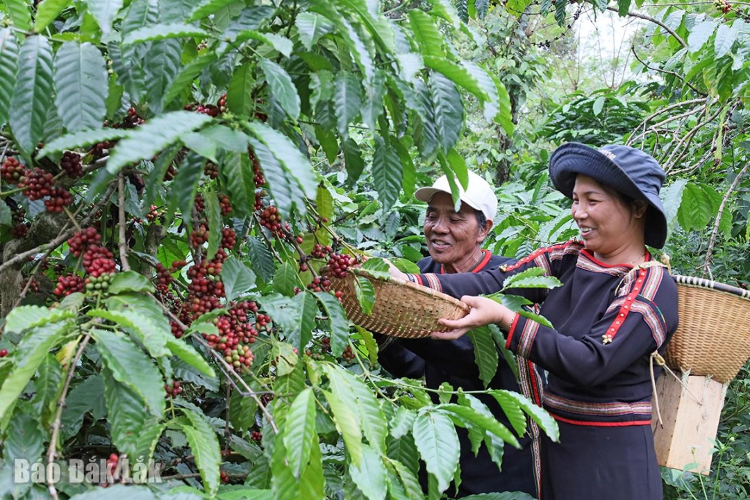 img_66631_20260104200337