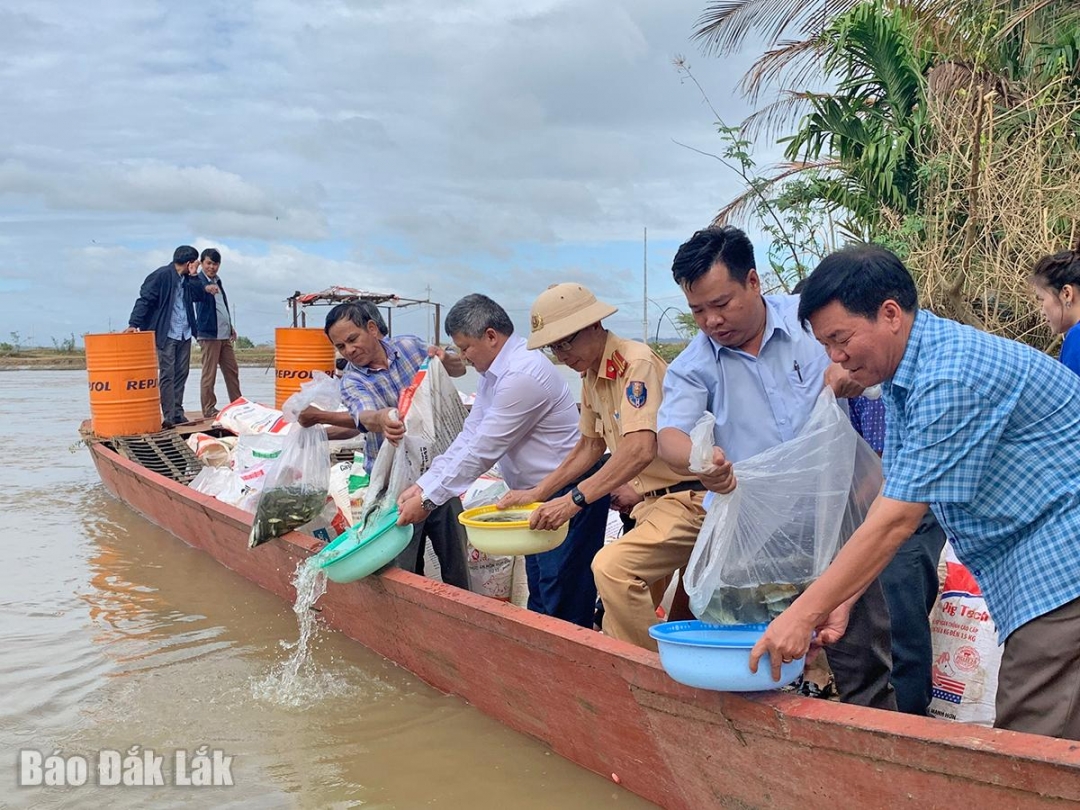 tha_ca_1_20260112203902