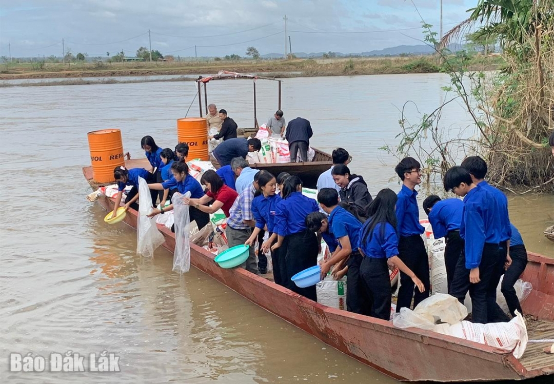 tha_ca_20260112203902