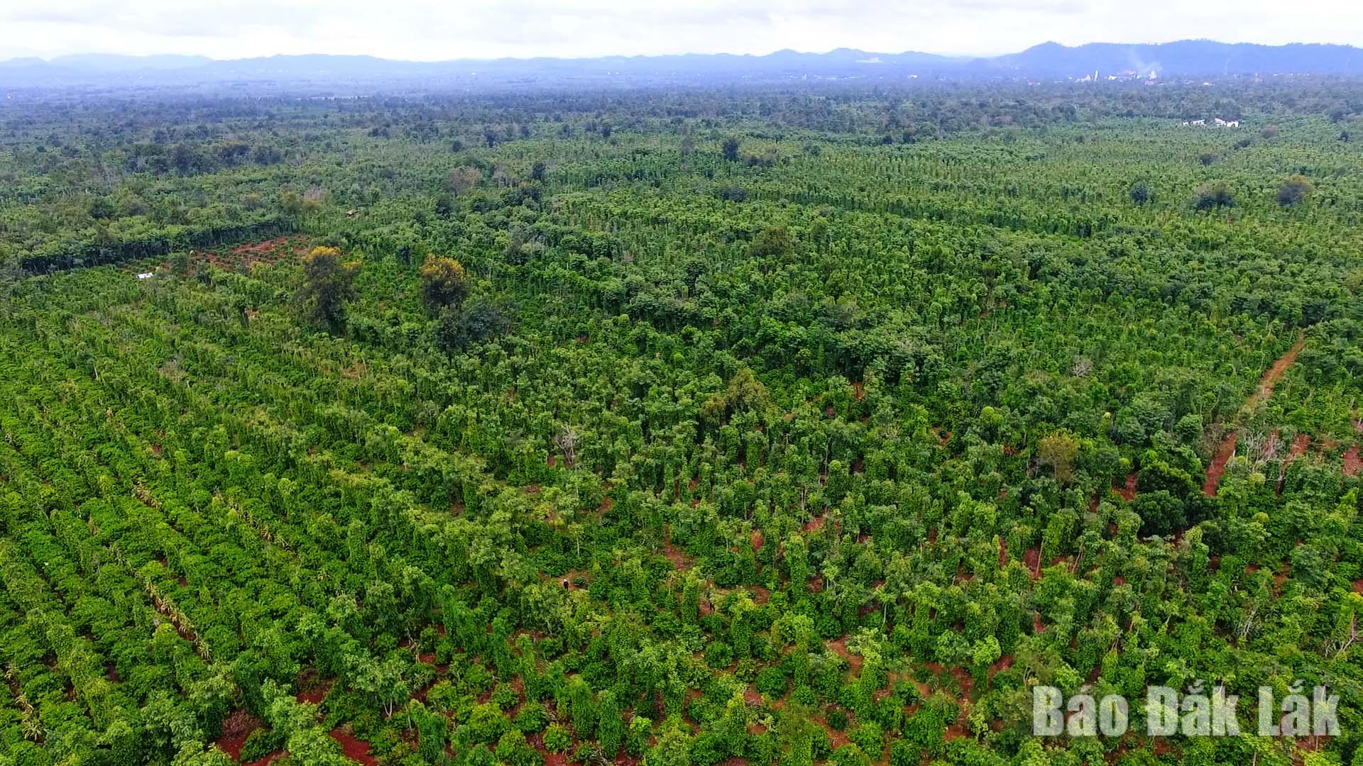 123_20260318145219_20260320193258