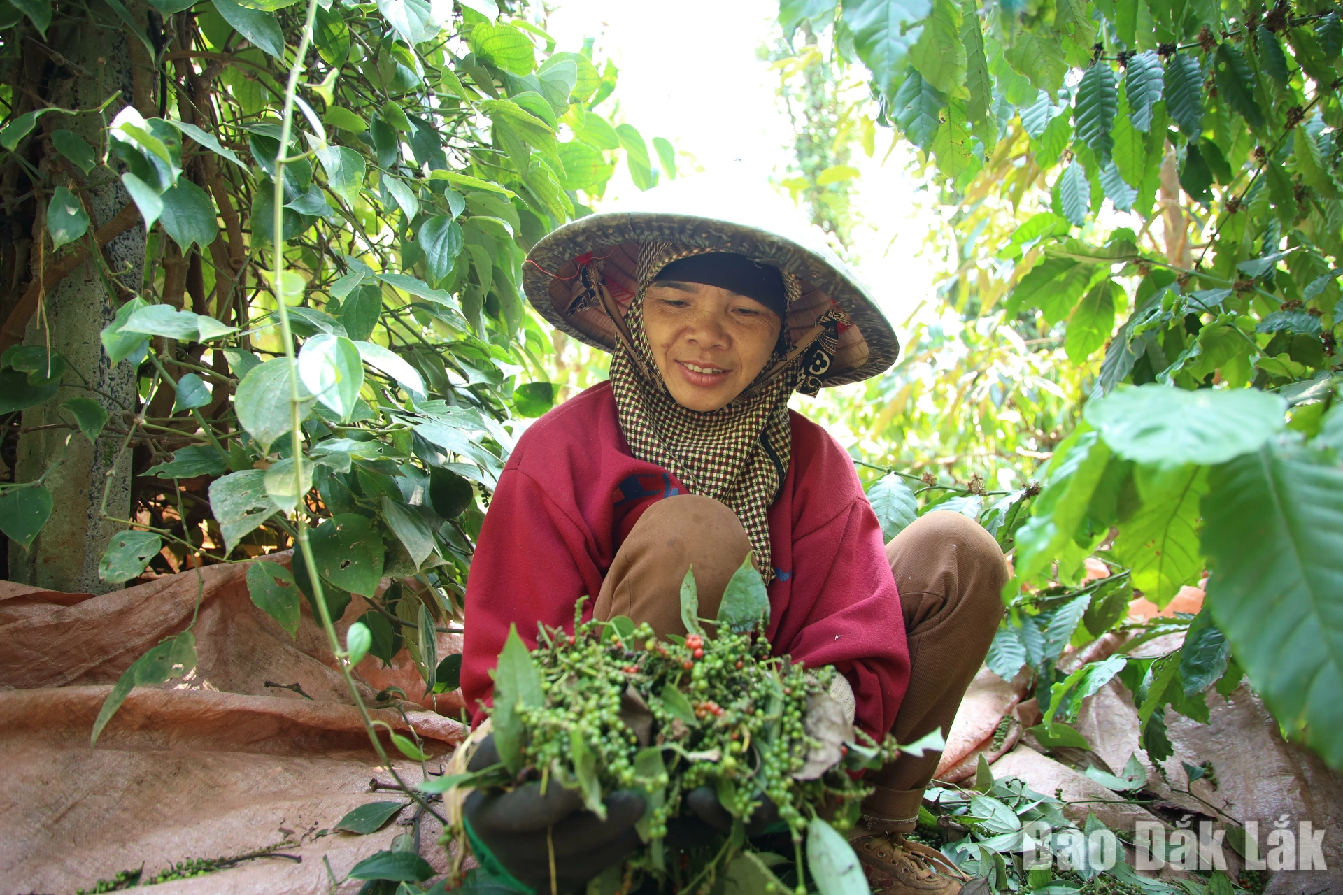 1k8a6237_20260318151018_20260320193301