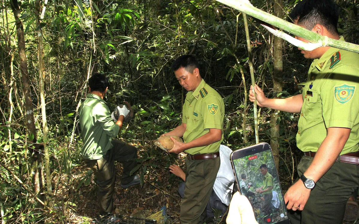 Thả các cá thể động vật hoang dã về với tự nhiên tại vườn quốc gia Chư Yang Sin