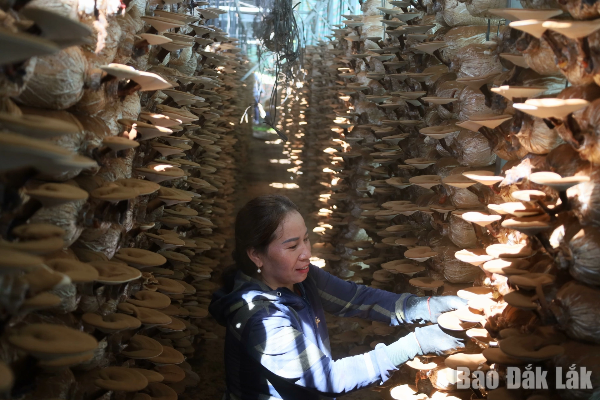 img_0188_20260309233841_20260312200243