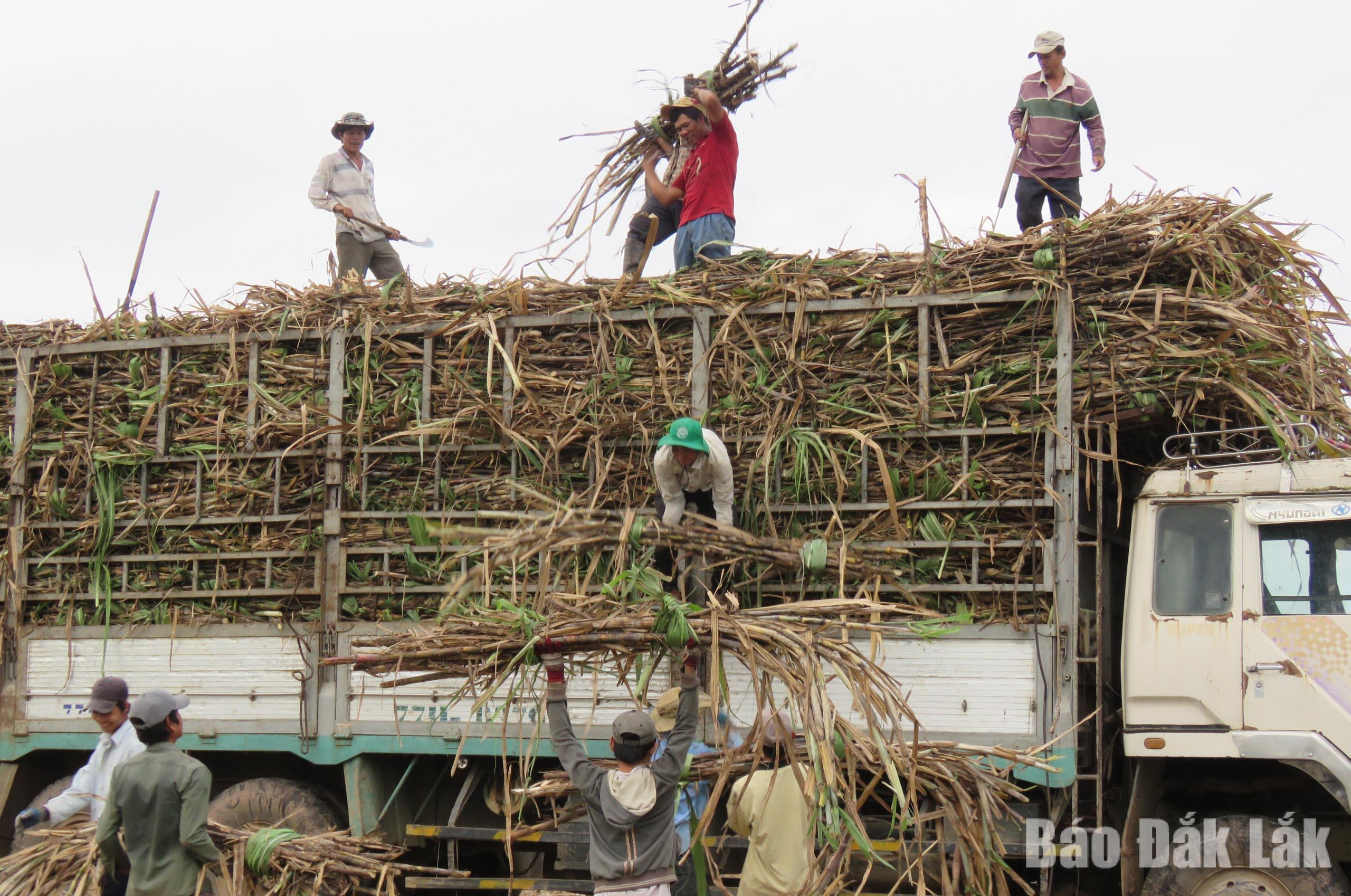 mia_20260307092911_20260308202939