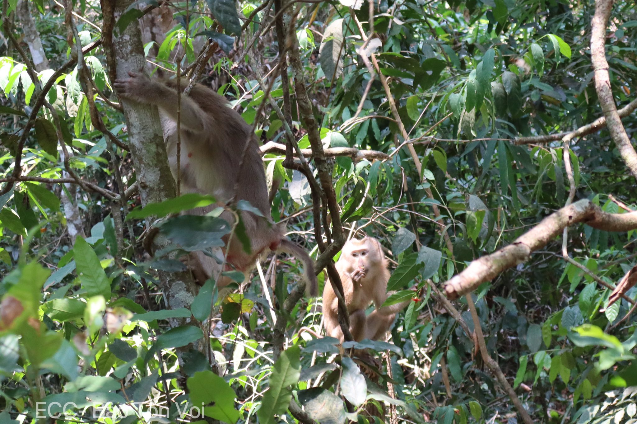 674286677_122121432675237734_3555399566825783124_n_20260420164105