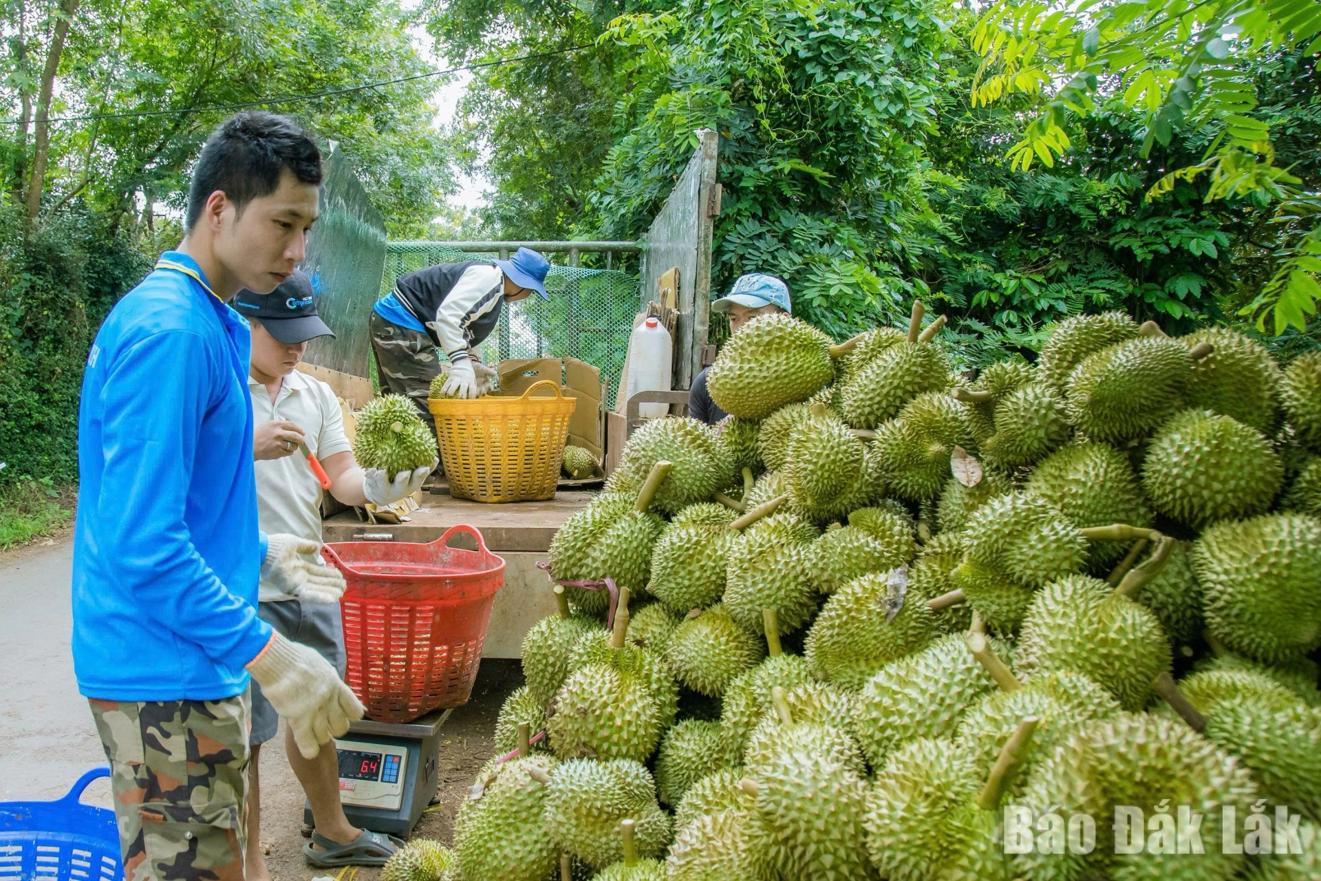 sr1_20260422122222_20260422195508