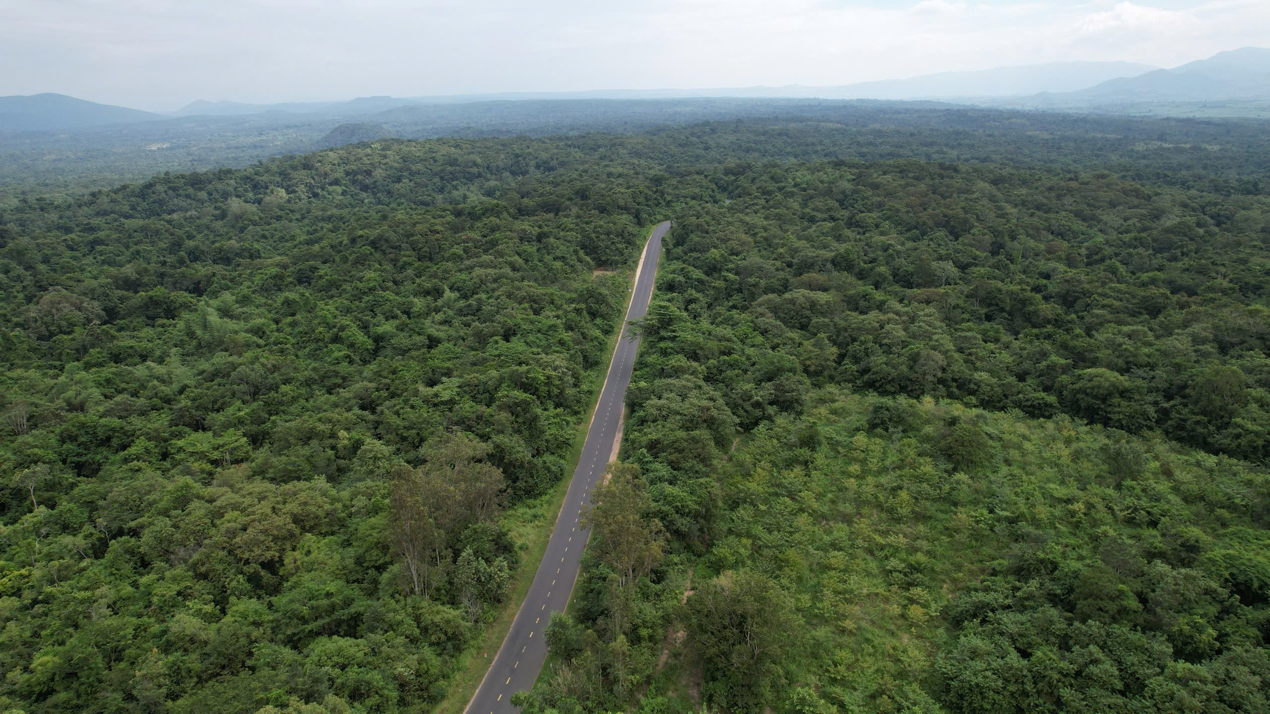 z6032051002102_eeb4e6b54e4ca167eda754b0cb4cef07_20241119160247