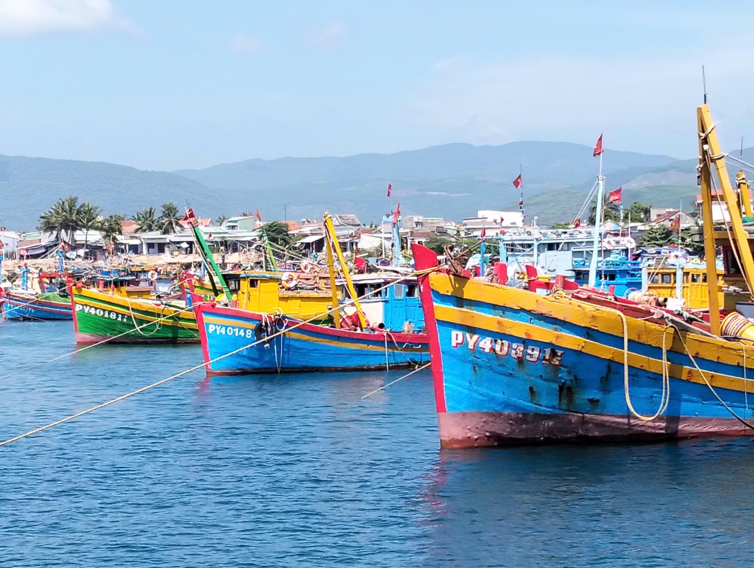 dffc0456-2ee9-4da5-97f4-123a5e361983