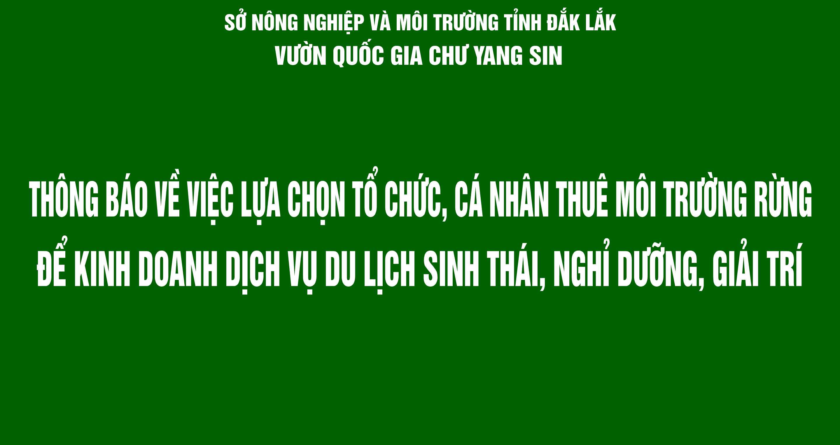Về việc lựa chọn tổ chức, cá nhân thuê môi trường rừng để kinh doanh dịch vụ du lịch sinh thái, nghỉ dưỡng, giải trí