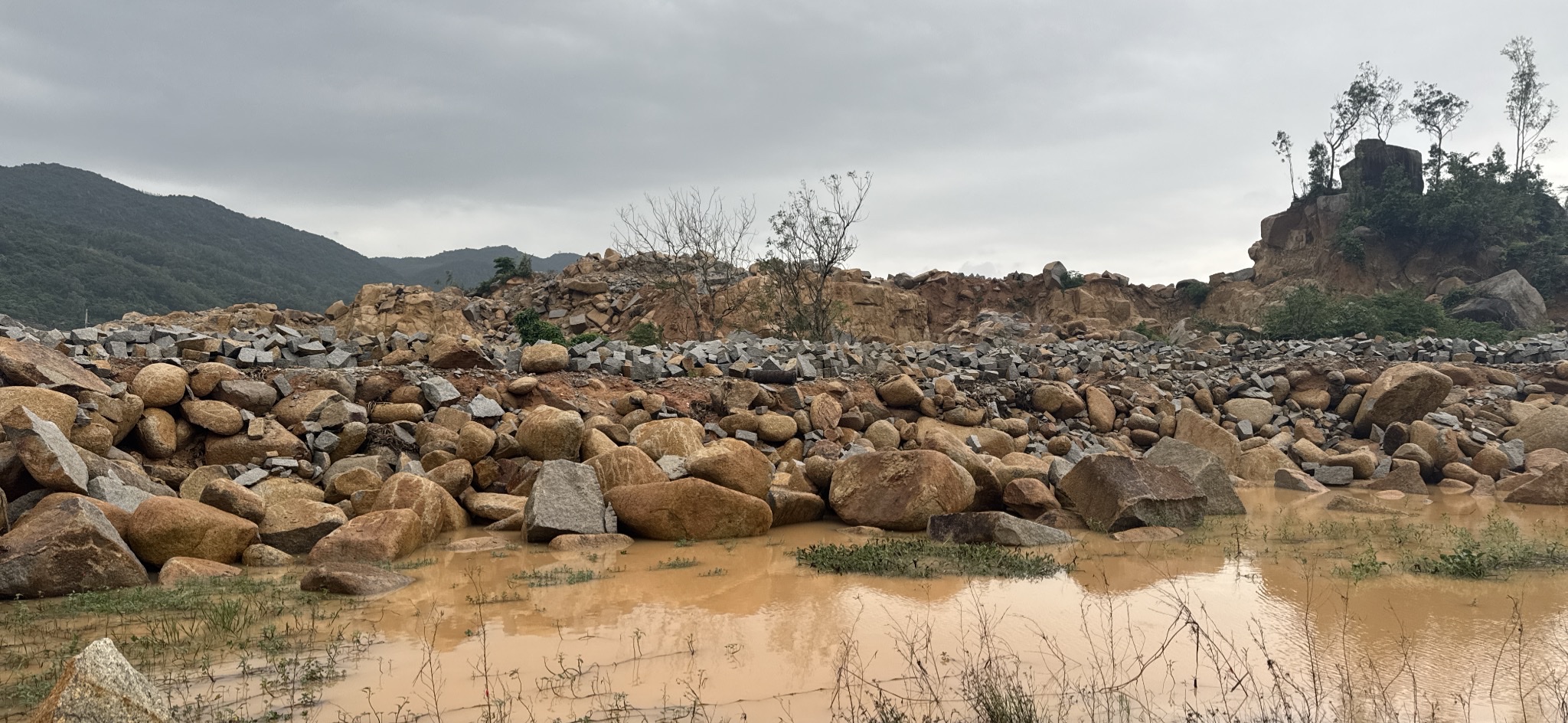 z7412250128403_a787a42fc01241c890f76ee6ae522457