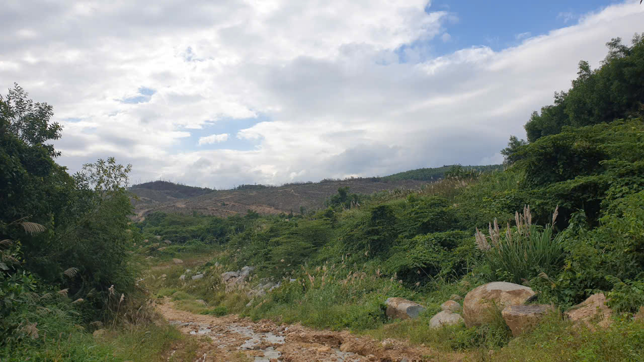 z7446224334369_396d4652d0f671907abbaaf224adbb6d